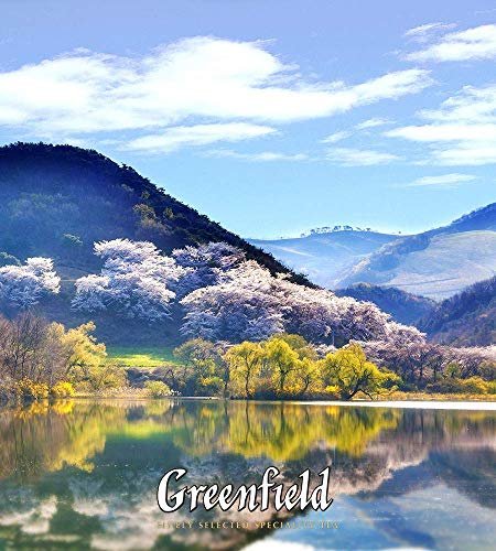 Greenfield Mint Black Tea Fruit, 25 Teabags - Image 2