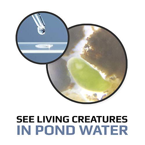 Carson MicroFlip 100x-250x LED and UV Lighted Pocket Microscope - Image 2