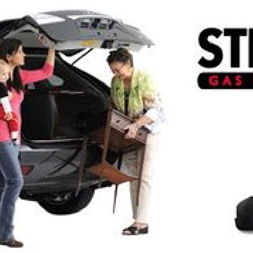 Strongarm 6236 Hood Lift Support, Pack of 1, black - Image 2