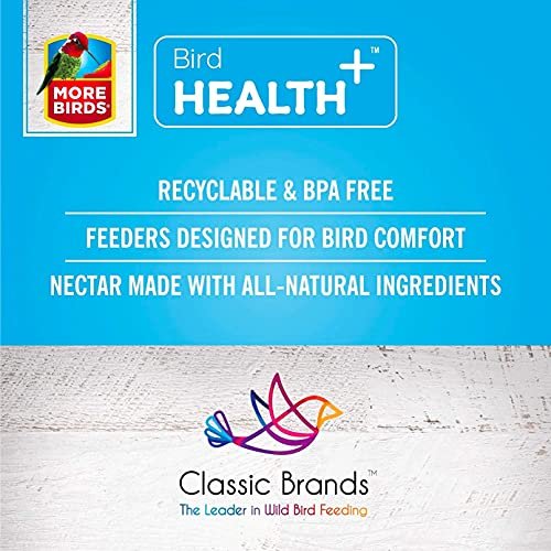 More Birds Bird Health + Diamond Hummingbird Feeder - Image 2